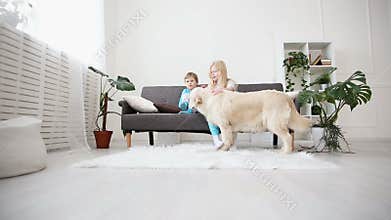 Care for pets. children stroke their dog with love in the living room. happy golden retriever in the family.