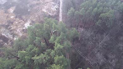 Quadrocopter flies over the forest road
