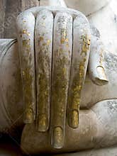 Buddha hand
