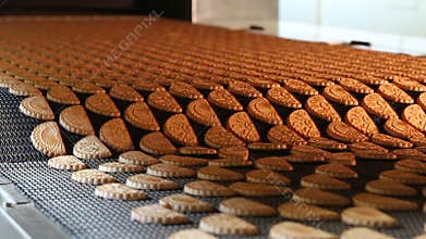 Cookie is baked in the oven. Close-up.