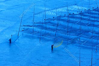 Fishermen near the seaweed farm