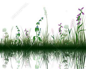 Grass on water