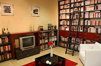 Home library 2