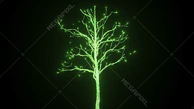 A new life in the form of a growing tree of electrical discharges. In 4K ultra HD