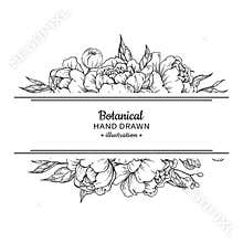Flower vintage border. Vector peony and roses botanical drawing.