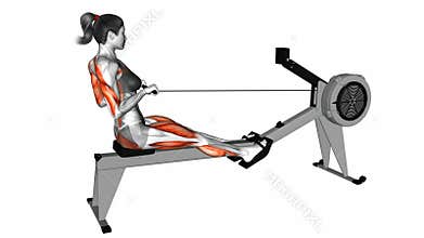 Rowing exercise with rowing machine