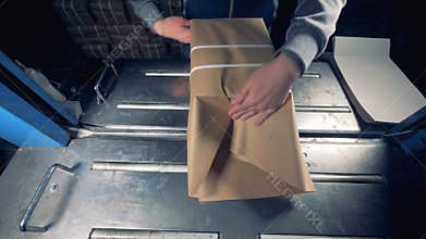 Female hands packing products into paper box at industrial plant.
