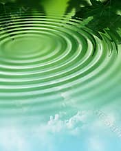 Water ripple in forest