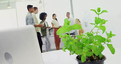 Executive discussing during meeting 4k