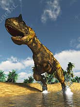 Predatory dinosaur