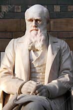 Statue of Charles Darwin