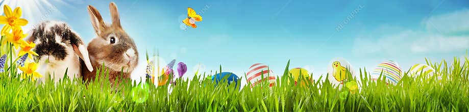 Happy Easter spring banner with little bunnies