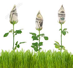 Money Concept