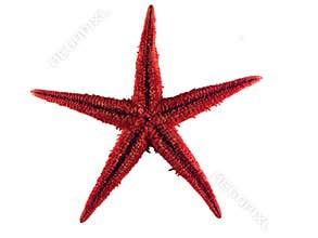 Red Star
