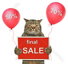 Cat holds a sign and balloons 2