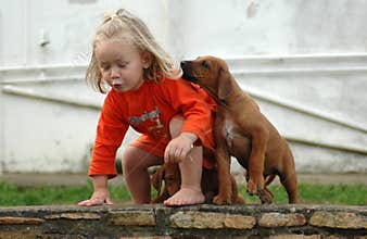 Child and puppy pet
