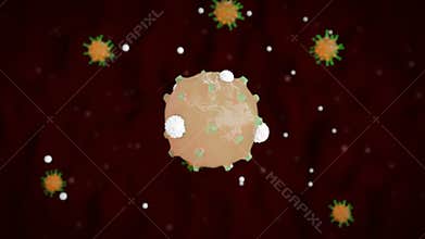 White blood cells kills a bacterial viral cells