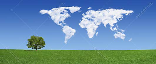 Lonely tree and world map clouds (XXXLarge)