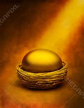 Gold Nest Egg Money Savings
