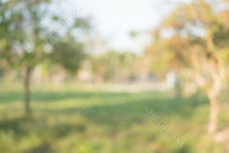 Abstract blur green color at garden for background,blurred and d