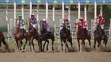 Starting Horse Racing. Slow Motion