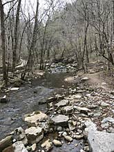 Arkansas River with rocks and trees