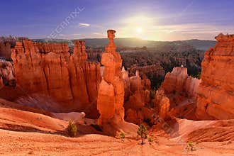 Thor`s Hammer in Bryce Canyon National Park in Utah, USA