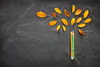 Back to school concept. Top view banner of pencils next to tree sketch with autumn dry leaves over classroom blackboard background