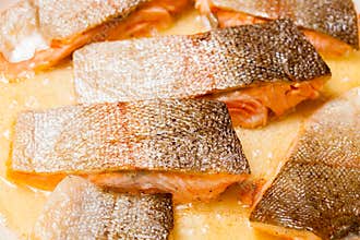Pan frying red trout fillets, also known as arctic char