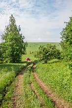 Summer country road