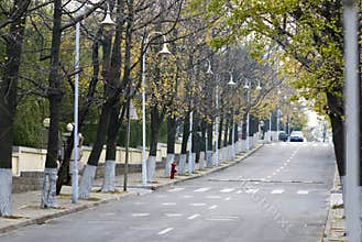 Autumn fall road in the city of late autumn