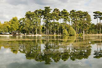 Bois de Boulogne in Paris, France