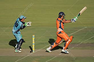 Cricket action