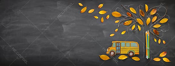Back to school concept. Top view banner school bus and pencils next to tree sketch with autumn dry leaves over classroom blackboar