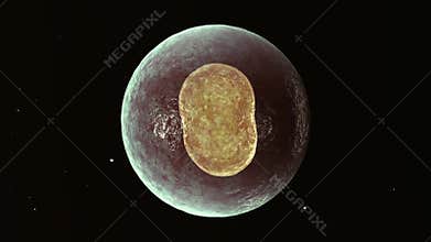 Cell division as the birth of a new being