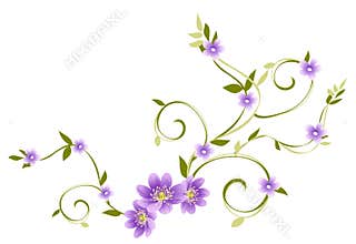 Purple flower