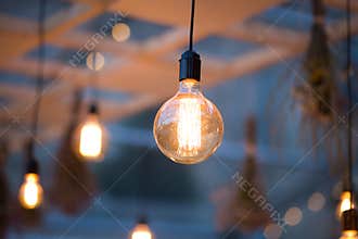 Rustic light bulb garden lights