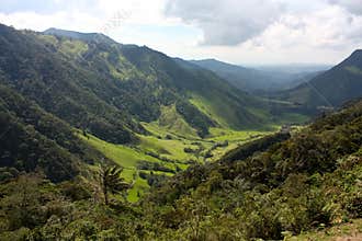 Landscape of Cocora valley, Colombia