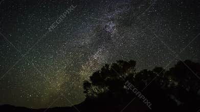4k Timelapse movie film clip of moving star trails in night sky. The Milky Way galaxy rotating over the trees in Summer