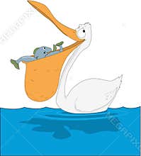 Pelican with Fish in Beak Cartoon Illustration
