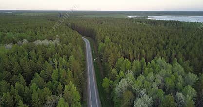 Bird eye view boreal coniferous forest with birch spots road