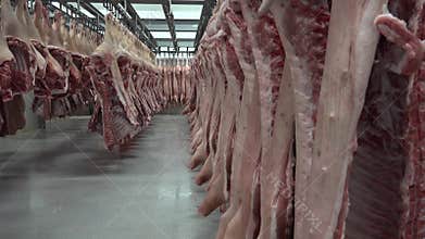 Meat processing plant and food industry