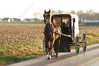 Amish cart
