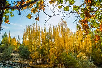 Shigar in autumn. Gilgit Baltistan. Pakistan