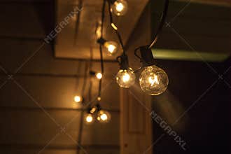 Decorative outdoor string lights hanging on tree in the garden at night time