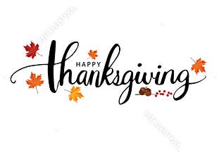 Happy Thanksgiving Text Calligraphy Vector illustration