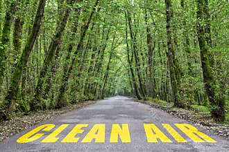 Jungle road to clean air