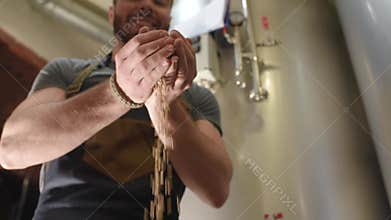 Young bearded man working beer factory in apron with malt in hands on a background of metal beer tanks