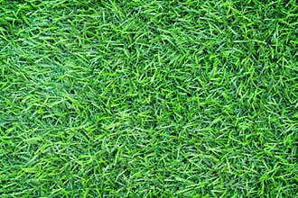 Texture artificial green grass seamless patterns background