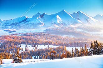 Winter mountain landscape. Clear blue sky over snowy mountain peaks in a frosty morning. Winter sunrise in the mountains.